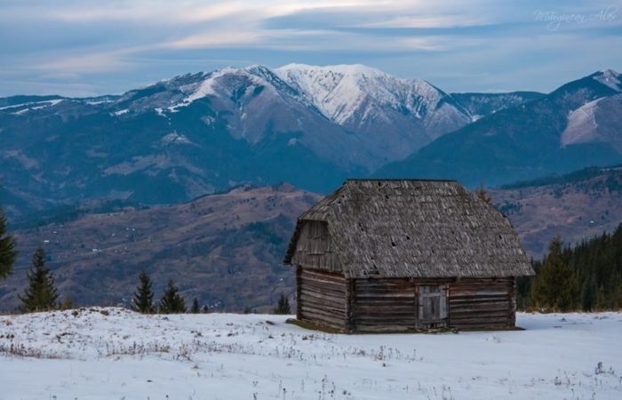 Culese din bătrâni | Rugăciune