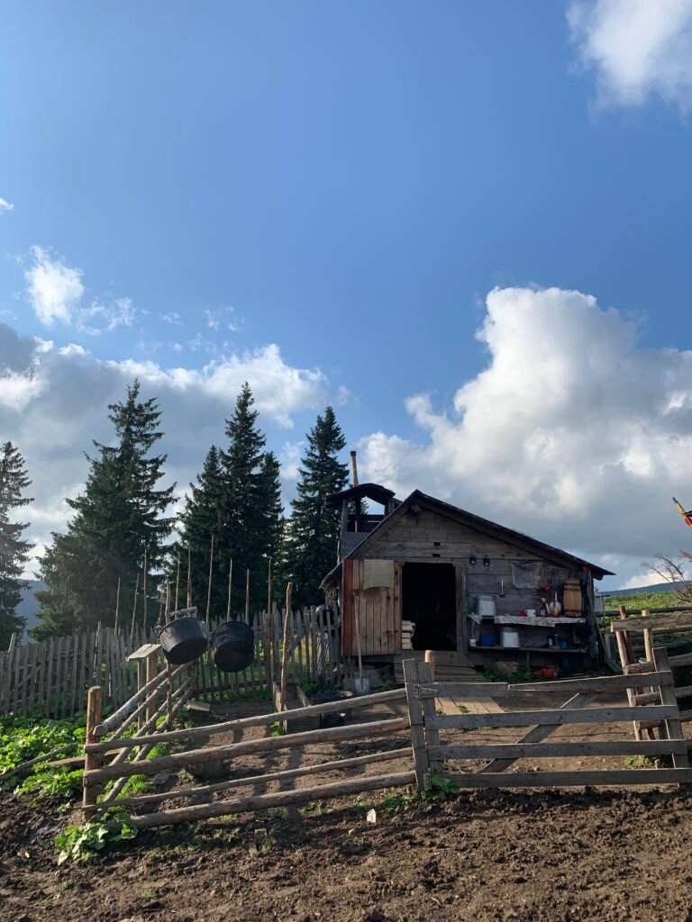 Ioana Mihalca | Plai Morosenesc